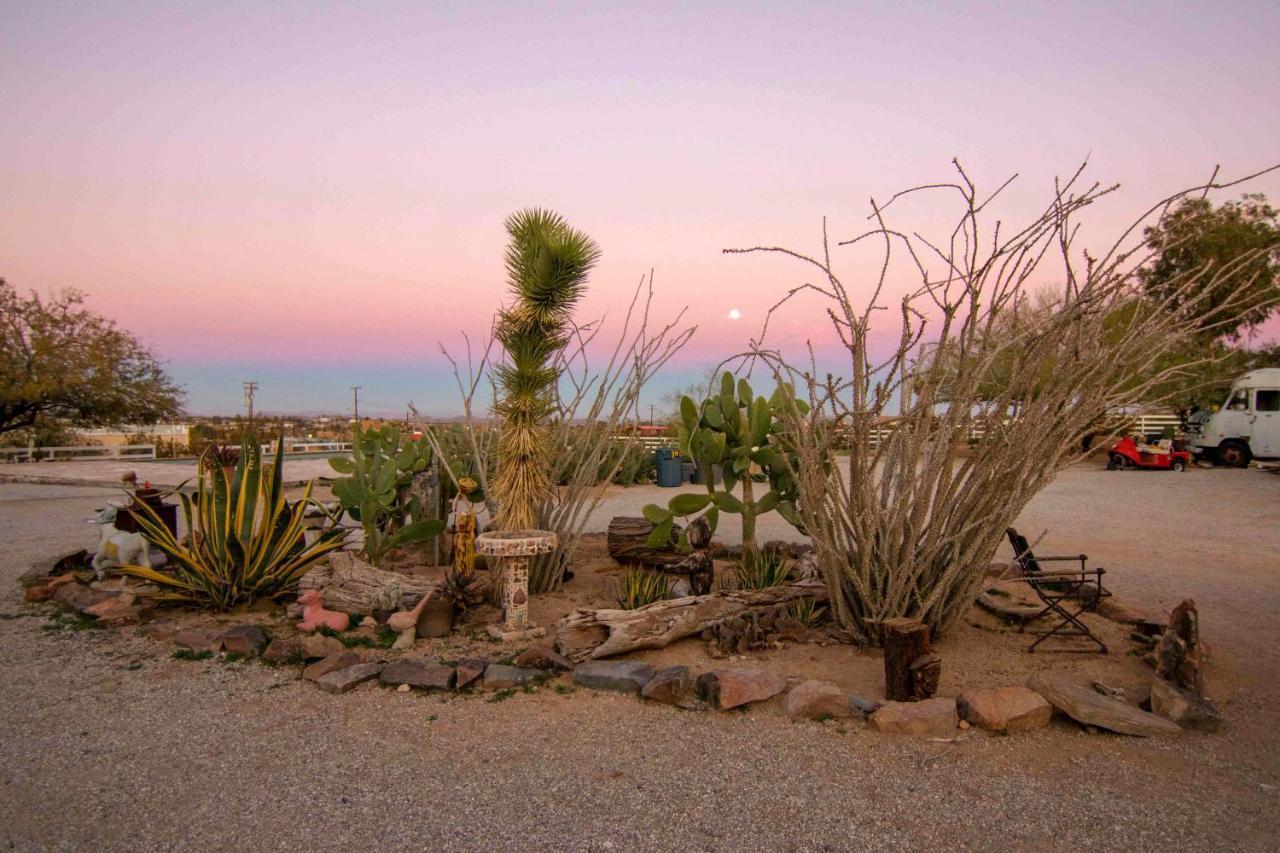 Joshua Tree Ranch House Motel Eksteriør billede